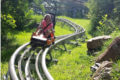 Smoky mountain alpine coaster coupon