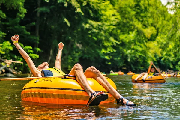 Smoky Mountain River Rat