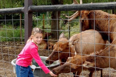 Smoky Mountain Deer Farm - Smoky Mountains Brochures