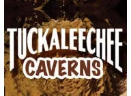 Tuckaleechee Caverns Coupon