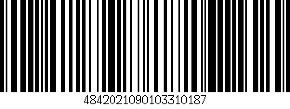 NASCAR Speedpark coupon barcode