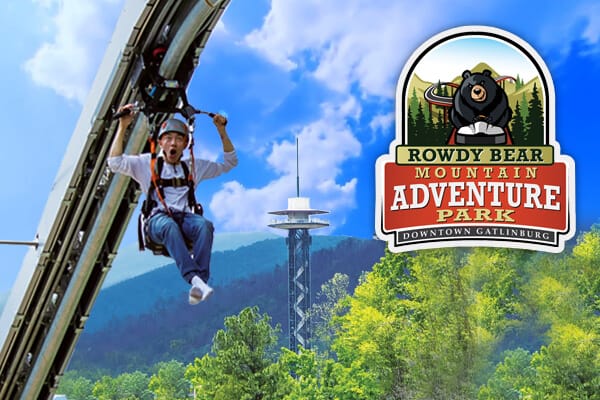 Rowdy Bear Coaster & Glider