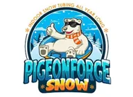 Pigeon Forge Snow Coupon