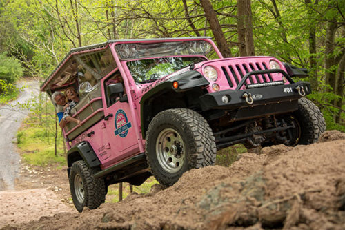 Pink Jeep Tours