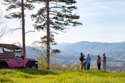 Pink Jeep Tours