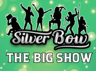 Silver Bow logo Silver Bow logo