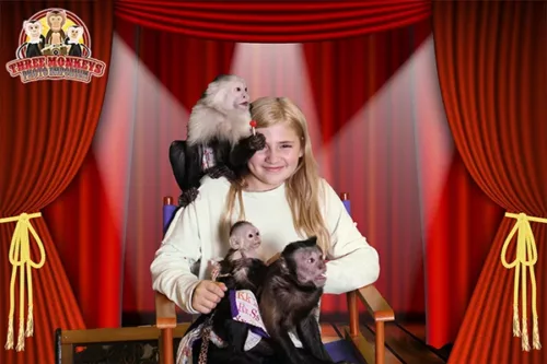 Three Monkeys Photo Emporium