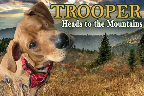 Trooper Heads To The Mountains
