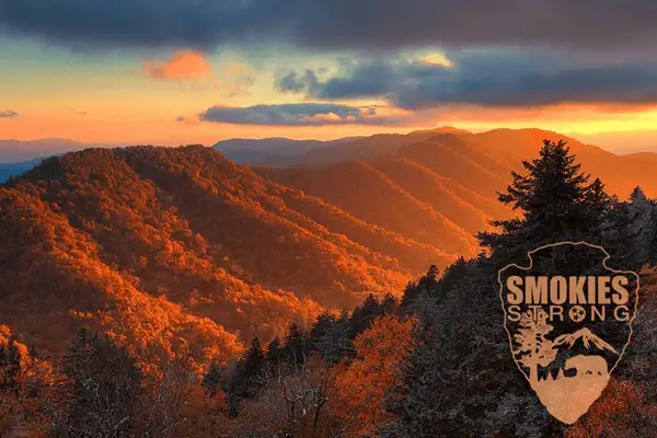 Smoky Mountain Guides: Small Group Tours