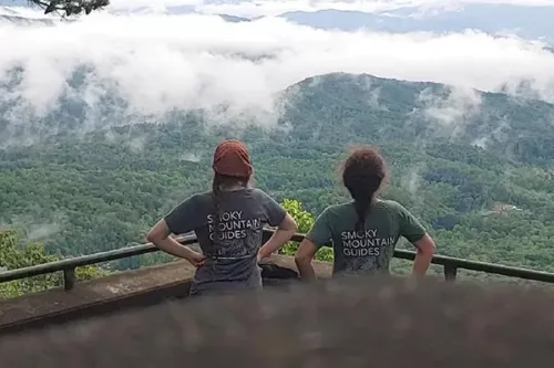 Smoky Mountain Guides: Small Group Van Tours