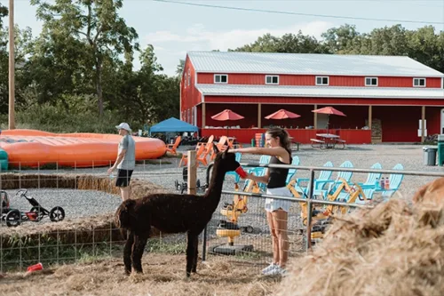 Springtime Exotic Petting Farm
