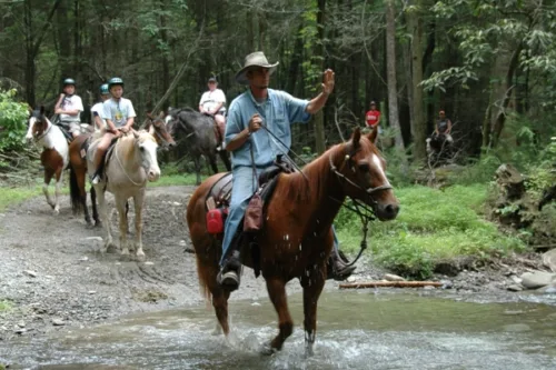 Sugarlands Riding Stables