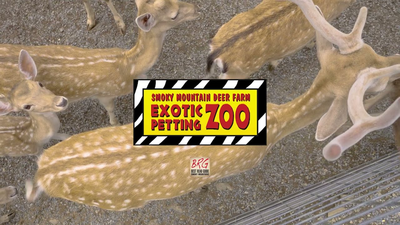 youtube placeholder image