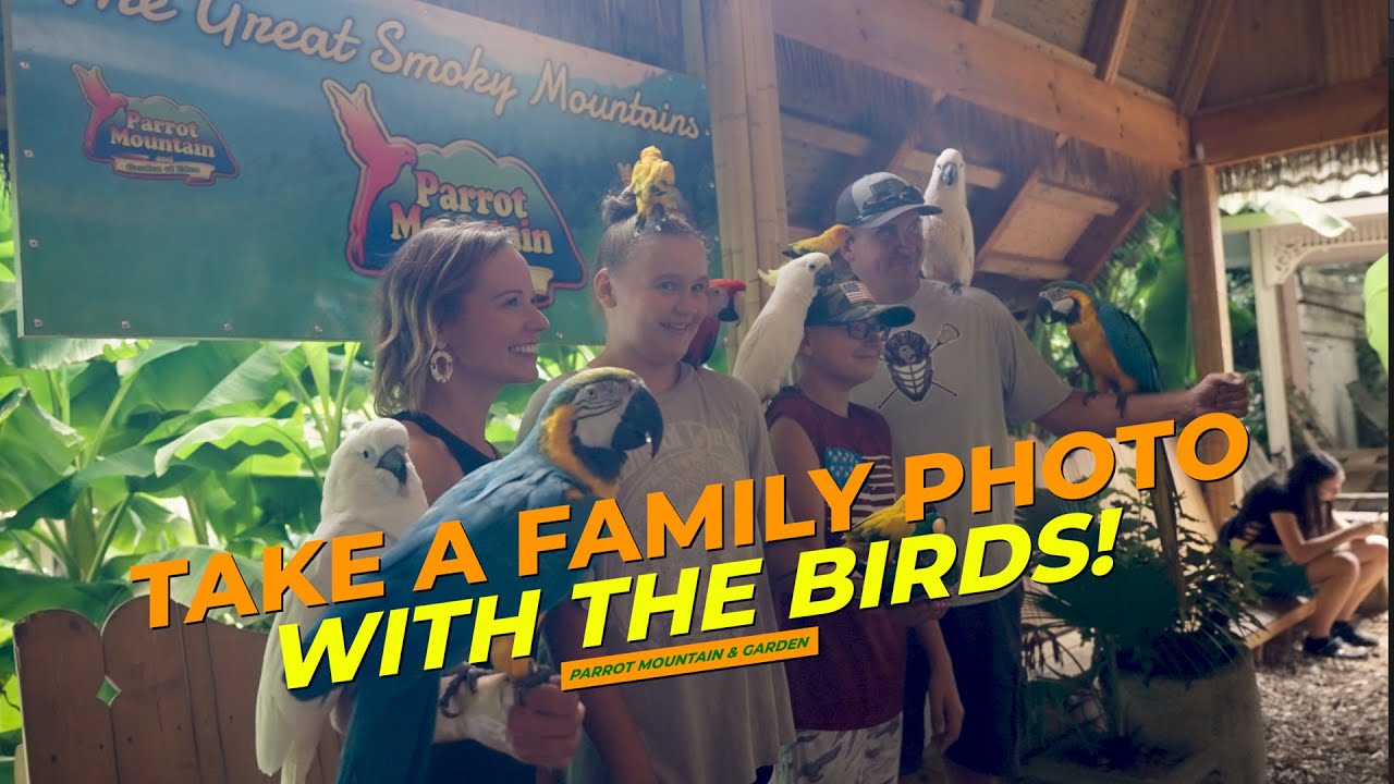 youtube placeholder image